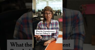 What the Unemployment Rate Isn’t Telling Us