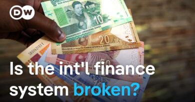Why are so many countries in Africa either in or very close to being in debt distress? | DW News