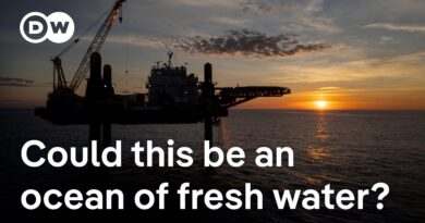Why is it important to find more water? | DW News