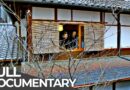 Wood and Paper: Living in a Historic Townhouse | Habitats of the World: Kyoto | Free Documentary