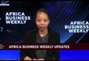 Africa Business Weekly: S.Africa’s agricultural exports to U.S surge despite tariffs
