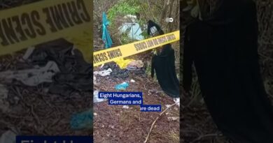 Aircraft crashes in Kenya, killing 11 onboard | DW News