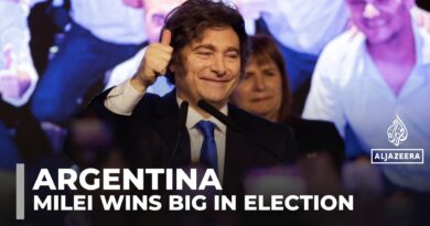 Argentine assets cheer Milei party’s election victory with massive rally