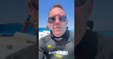 Can these unusual underwater pyramids help save the ocean? #shorts