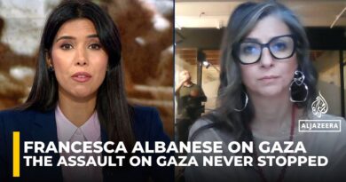 Ceasefire hasn’t stopped Israel’s deadly assault on Gaza: UN expert