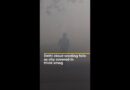 Delhi cloud seeding fails as city covered in thick smog | AJ#shorts