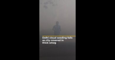Delhi cloud seeding fails as city covered in thick smog | AJ#shorts