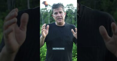 Explaining Colombia’s 60 year war | Unreported World