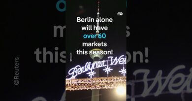 Fact check: Are Germany’s Christmas markets getting canceled? | DW News