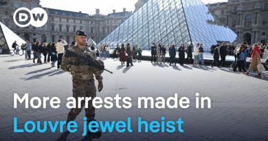 Five new suspects arrested over Louvre heist | DW News