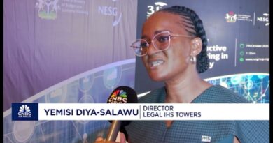 Focus On IHS at 31st Nigerian Economic Summit