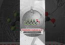Forever Chemicals are everywhere, in our bodies too | People & Power #shorts