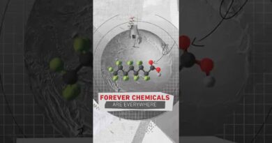 Forever Chemicals are everywhere, in our bodies too | People & Power #shorts