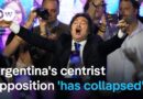 How economically sustainable are Milei’s austerity measures? | DW News