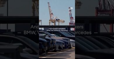 How the Nexperia chip crisis threatens Europe’s auto industry | DW News
