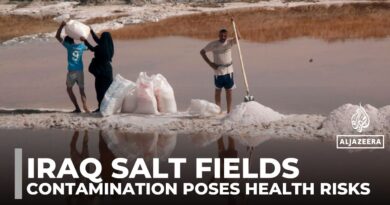Iraq’s salt miners face toxic threat as sewage contaminates Najaf Basin