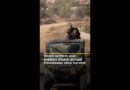 Israeli settlers and soldiers attack Palestinians during the annual olive harvest | AJ#shorts