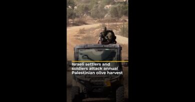 Israeli settlers and soldiers attack Palestinians during the annual olive harvest | AJ#shorts