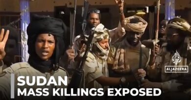 Mass killings allegations: Army accuses RSF of killing at least 2,000 people