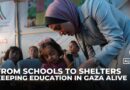 No schools left in Gaza: How teachers rebuild education in tents