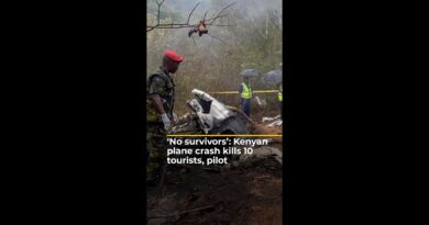 ‘No Survivors’: Kenyan plane crash kills 10 tourists, pilot | #ajshorts