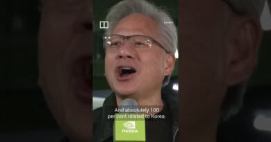 Nvidia CEO mobbed in Seoul