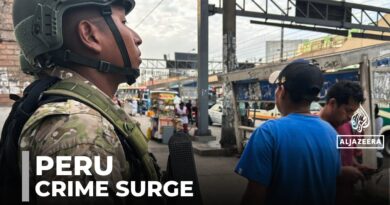 Peru economy: Small businesses suffer as crime takes over country