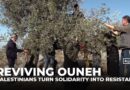 Reviving Ouneh: Palestinians unite against settler attacks