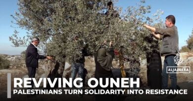 Reviving Ouneh: Palestinians unite against settler attacks