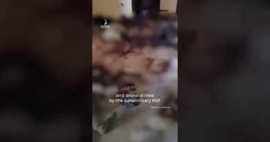 RSF fighters film execution in el-Fasher hospital massacre