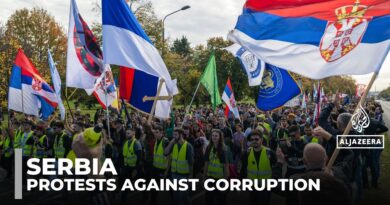 Serbia anti-government demonstrations: Major protest planned on roof collapse anniversary