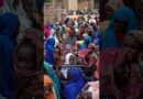Social media clips show RSF atrocities in Darfur | DW News