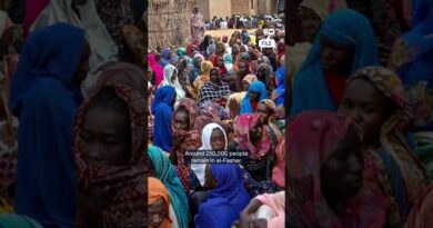 Social media clips show RSF atrocities in Darfur | DW News