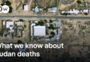 Sudan: Satellite images analysed for evidence of mass killing in el-Fasher | DW News