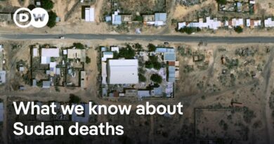 Sudan: Satellite images analysed for evidence of mass killing in el-Fasher | DW News