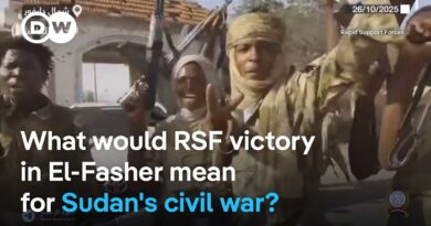 Sudan’s paramilitary Rapid Support Forces claim capture of El-Fasher | DW News