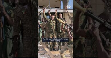Sudan’s RSF accused of mass killings | DW News