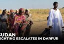 Survivors flee El Fasher in north Darfur: UN warns of new battleground in north Kordofan