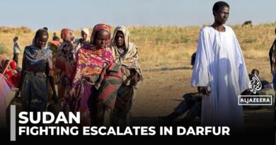 Survivors flee El Fasher in north Darfur: UN warns of new battleground in north Kordofan