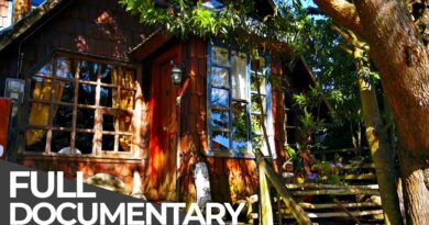 The Legendary Wooden Houses of Chiloé Island | Habitats of the World: Chile | Free Documentary