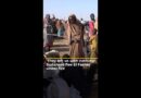 ‘They left us with nothing’: Sudanese flee el-Fasher under fire | #ajshorts