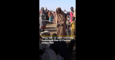 ‘They left us with nothing’: Sudanese flee el-Fasher under fire | #ajshorts