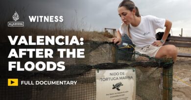 Turtles under threat: The race to restore Spain’s coastline | Witness Documentary