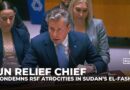 UN relief chief condemns killings, rape and famine in El-Fasher at UNSC Sudan meeting