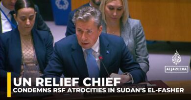 UN relief chief condemns killings, rape and famine in El-Fasher at UNSC Sudan meeting