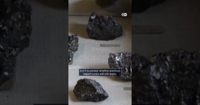 Washington and Beijing reach deal — for one year | DW News