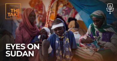 What does the fall of el-Fasher mean for Sudan? | The Take