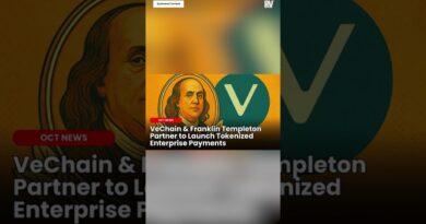Why Franklin Templeton, BitGo & KeyRock Are Boosting VeChain’s Growth 🚀