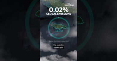 Why hurricanes should be named after oil bosses