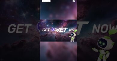 Why $VET & $VTHO Could Be the Crypto Game-Changers